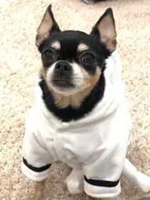 Bathrob Pet-Accessories Drying-Towel Dogs Puppy Soft Cat for Dog-Pajamas Indoor