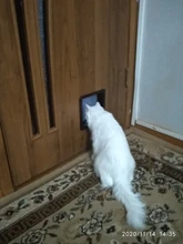 Pet-Gate Door-Kit Flap-Door Security-Lock Dog Cat Abs-Plastic Kitten with 4-Way for Small