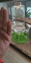 Nuevo reptil bebedor de agua dispensador comida lagarto de plato redondo de la botella de la bebida