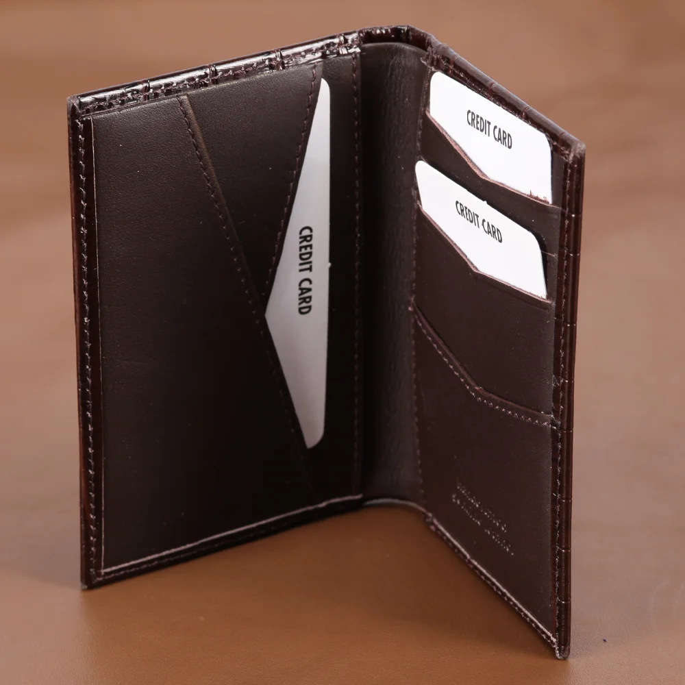 CRD-161116-Croco_BrownHR2