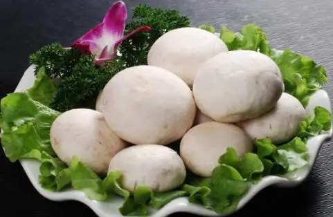 口蘑能不能和鸡蛋一起食用 食用口蘑需要主要哪些事项-养生法典