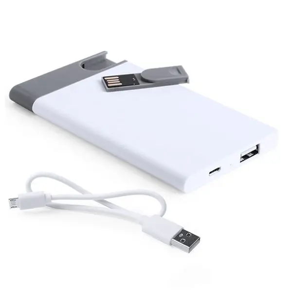 Внешний аккумулятор со съемным USB 2500 mAh 8 GB 145242