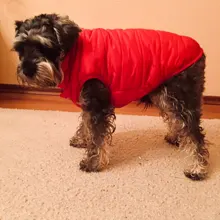 Vest Jacket Dog-Coat Pet-Dog French-Bulldog Warm Dogs-Chihuahua Small Fleece Winter Large