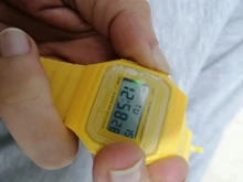 BDM - Reloj clásico Casiopea Original para hombre mujer, niña o niño de pulsera digital con alarma. Un regalo vintage.