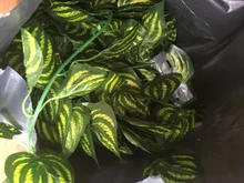 10 Style 1pc Artificial Decoration Vivid Vine Rattan Leaf Vagina Grass Plants Grape Leaves