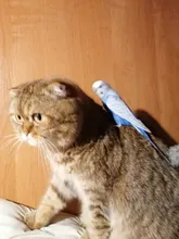 One-Piece Swimsuit Monokini White Hollow-Out Women Sexy New Solid Cut-Out SGCHUA Blue