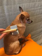 Los perros removedor de pelo del cepillo de aseo para gatos de madera cachorro perro grande peines Pet peine para pulgas perro derramamiento peine gato suministros