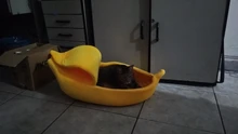 Banana Shaped Cat Bed House Warm Cozy Puppy Cushion Kennel Portable Soft Pet Sofa Cute
