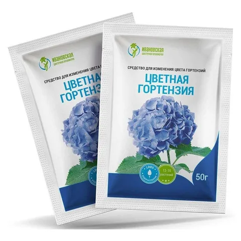 Цветы Гортензии Купить В Хабаровске