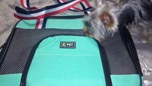 Backpack Dog-Carrier-Bag Travel-Bag Dogs Chihuahua Pet-Puppy Yorkie Cats Small Breathable
