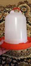 Cups Chick Automatic Farming-Tools Drinker Drinking-Fountain Poultry-Feeders Water-Bucket