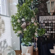 Dog-Bowl Pet Slow-Eating Hard-Plastic Cat Nonslip Anti-Gulping