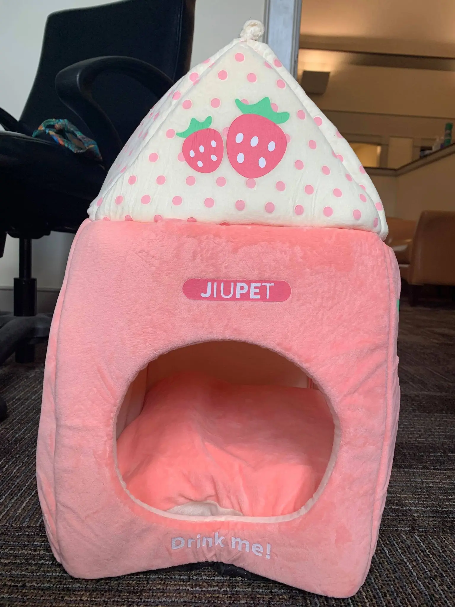 Kawaii Carrot Pet House