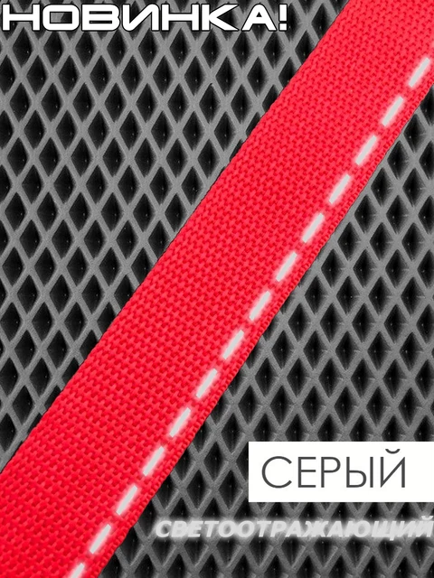 Mats in the Eva prime car for Nissan Tiida I, mats in the salon, car mats, mats, Eva mats, for the machine, Grey + red