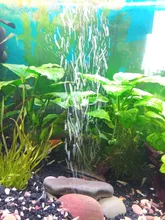 Aquarium Aerator Bubble-Disk Oxygen-Plate Pond-Pump Air-Stone Fish-Tank Hydroponic 40mm