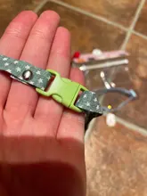 Puppy-Collar Bell Pet-Supplies Breakaway Chat Kittens Adjustable with Cut Cats Pour 