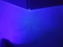 Tira de luces led impermeable para fiesta de fluorescencia, lámpara tipo cinta ultravioleta de 12V, de 395-405 nm, con luz negra 5050 2835 SMD, 60 led/m o 120 led/m ideal para DJ