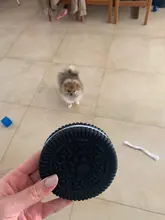 Toy Dog-Chew-Toys Rubber Simulation Puppy Interactive Cleaning Tooth Small 1pc Pawstrip