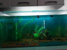 Bomba de filtro 4 en 1 para acuario, generador interno de oxígeno, de aire, de olas, sumergible para pecera