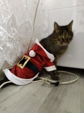 Costume Jackets Yorkie-Outfit Cat-Clothing Puppy Small Dogs Coat Hooded Pet-Dog Winter Dog