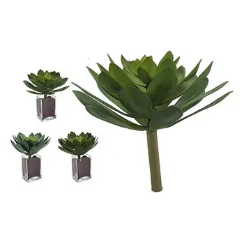 

Decorative Plant Ibergarden (25 x 24 x 25 cm)