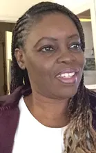 WonderLady-extensiones de pelo trenzado sintético, caja de trenzas de giro de 24 pulgadas, 100G, 120 colores, Ombre Jumbo, preestirado, venta al por mayor