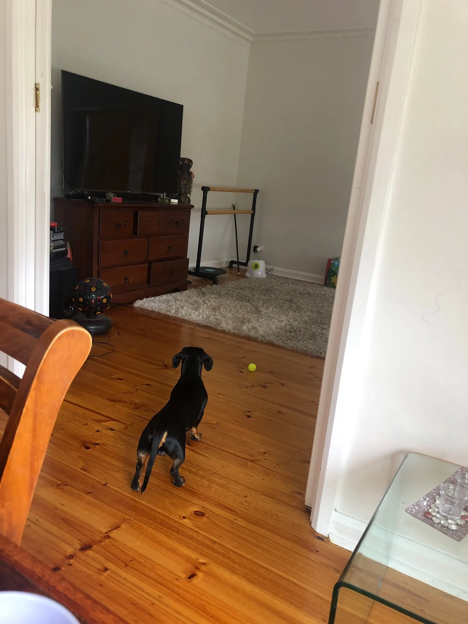 Fetchly Automatic Tennis Ball Launcher Ceelic