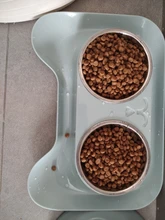 Pet-Accessories Dog-Bowls Double-Food Feeding-Supplies Pet-Drinking-Dish-Feeder Puppy