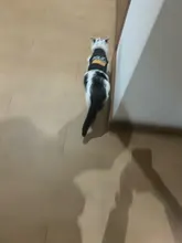Traje de policía para Cosplay de perros y gatos, chaleco elástico negro, camiseta de cachorro, accesorios, ropa, disfraces