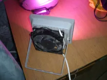 Phyto-Lamp Grow-Light Led-Chip Seedling No-Need-Driver Full-Spectrum 220V COB 110V AC