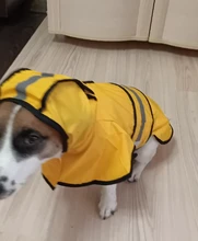 Jumpsuit Hoodies Pet-Coat Rain-Jacket Reflective French-Bulldog-S-2xl Waterproof Medium