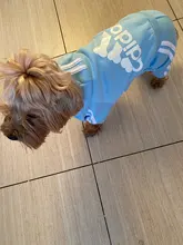 Traje para mascotas pequeñas y medianas, mono para cachorros, ideal para bulldog francés, chihuahua o pug