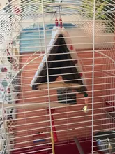 Warm Bird Nest Bed Hammock House Perch for Parrot Parakeet Finch Canary Cage Toy