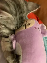 Dog-Toys Plush-Squeaky Pet-Supplies Puppy-Training-Toy Bite-Resistant Vegetable Dog Chew