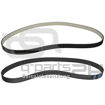 

Belt 6895 Svil.= 13/12,5 100013 A1000CDAYCO
