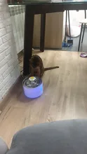 Drinking-Bowl Auto-Feeder CARBON-FILTER Water-Dispenser Water-Fountain Cat Automatic