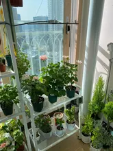 Phyto Lamp Light-Bulb Uk-Plug Grow-Tent Plant Full-Spectrum-Lamp Greenhouses Indoor 2000w Led