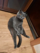 Tubing-Tube Sleeving-Wrap Connector-Repair Heatshrink Black 10mm-Diameter Wire-Sell DIY