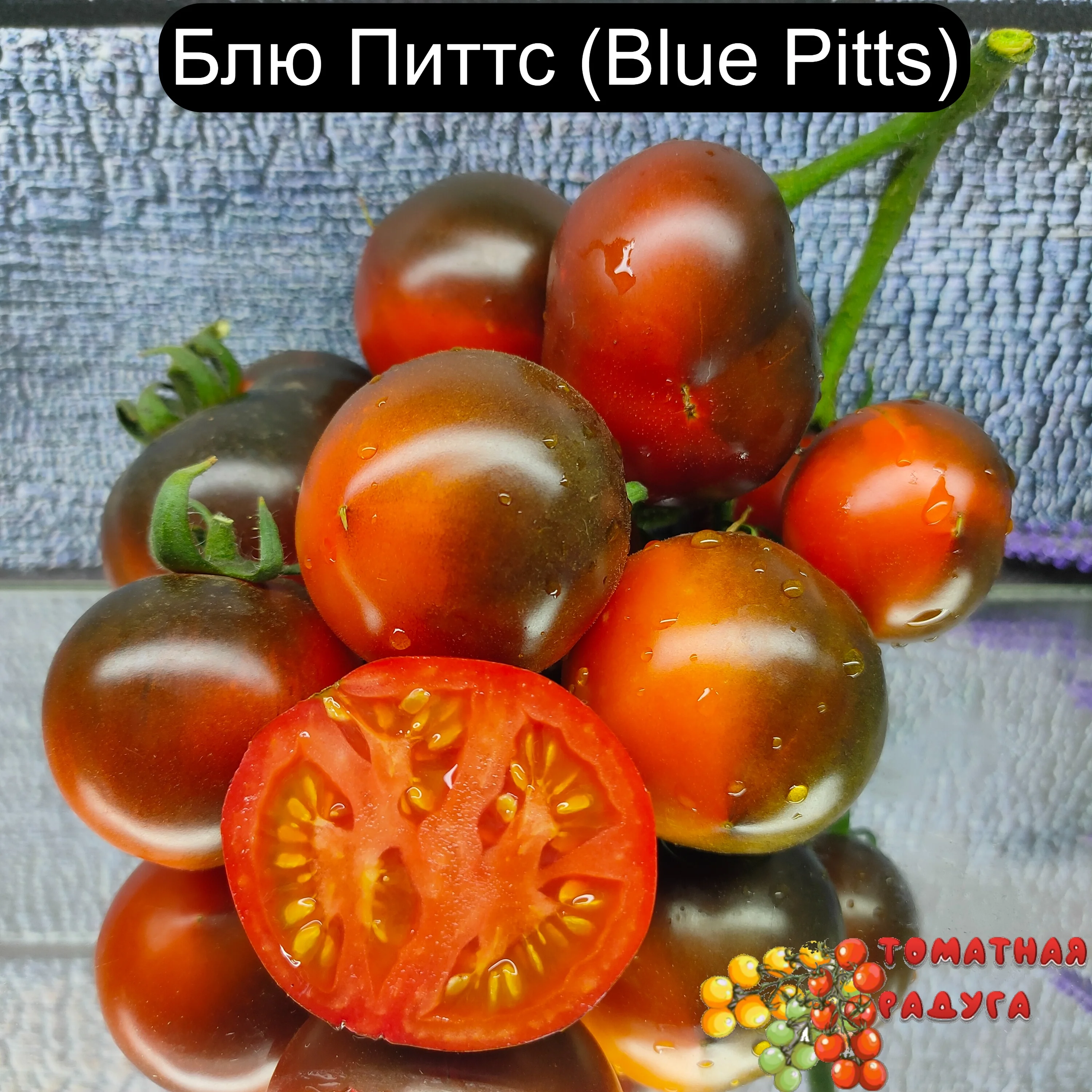 терешонкова татьяна селекционер томатов. описание томата камуфляж. томат ермак характеристика и описание. сорт томатов камуфляж. описание томата камуфляж.