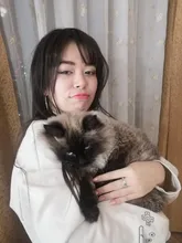 LVHAN-flequillo de aire puro, extensión de cabello sintético, Natural, negro, marrón claro, marrón oscuro, negro, fibra de alta temperatura