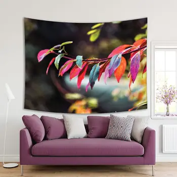 

Tapestry Colorful Autumn Leaves Trees Sunny Day Golden Magical Season Nature Scenery Red Green Yellow