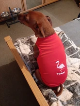 Ropa de perro para perros pequeños estampado bonito verano mascotas camiseta perro ropa chaleco para gatos mascota de algodón de T camisa Pug ropa trajes