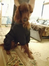 HOOPET Large Coat Down-Jacket Winter New Warm Autumn for Dogs Dog-Prints Overalls Leisure-Style