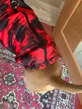 Vest Coat Jacket Pet-Dog-Clothes French-Bulldog-Pet Dogs Small Waterproof Large Winter