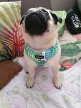 Breathable French Bulldog Harness Printed Reflective Dogs Harness Puppy Small Medium