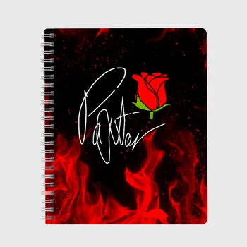 

Payton notebook-TikTok