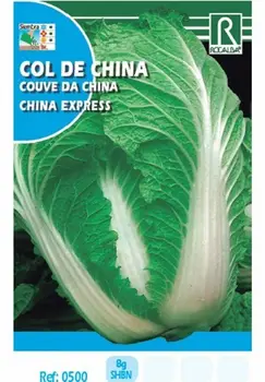 

Chinese EXPRESS cabbage vegetable planting seeds