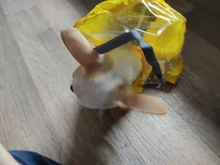 Raincoat Chihuahua Waterproof Summer Puppy Dogs Reflective for Small Nylon Ropa Perro