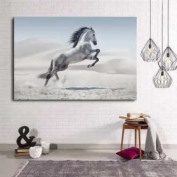 

White Prancing Horse Canvas Print