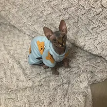 Rabbit Print Pet Cat Costume for Cats Soft Kedi Katten Sweatshirt Hoodie Spring Summer